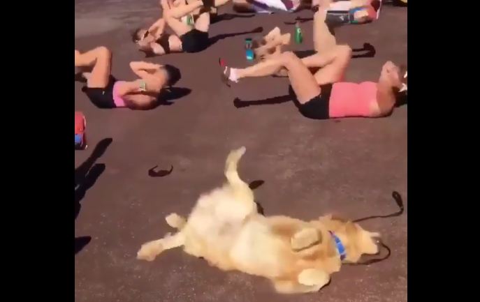 When You’re Killin’ It at Getting That Beach Body Ready…