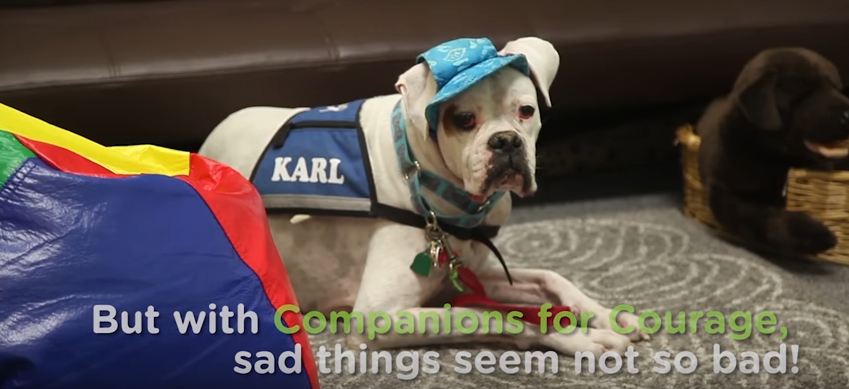 Companions for Courage Establishes a “K9th Circuit Court” Program to Help Traumatized Children Tell Their Stories