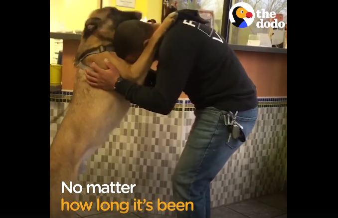 Boy stands with a sign ready to greet dad, but the dog comes running