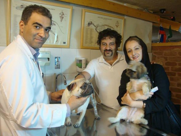 Iranian Veterinarian Is Running for Office to Give Dogs Rights
