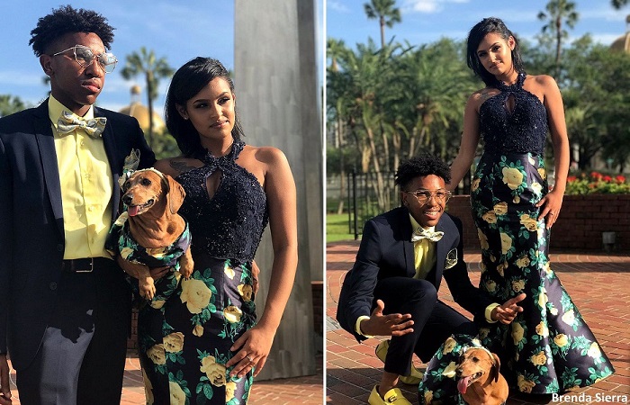 This Teen Loves Her Dog So Much That She Made Her a Matching Prom Dress