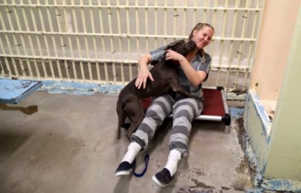 Pooches in the Pen: Former Jail Now An Animal Shelter Where Inmates Care For Dogs