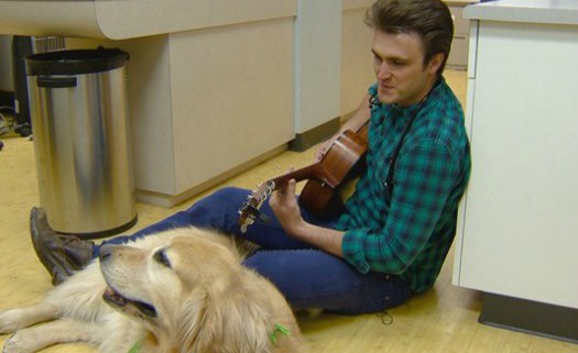 Veterinarian melts our hearts as he croons Elvis song to frightened dog