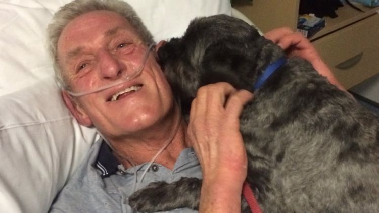 Rescue dog miraculously brings his owner out of a coma