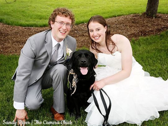 Couple Makes Their Former Foster Dog the Ring Bearer at Their Wedding