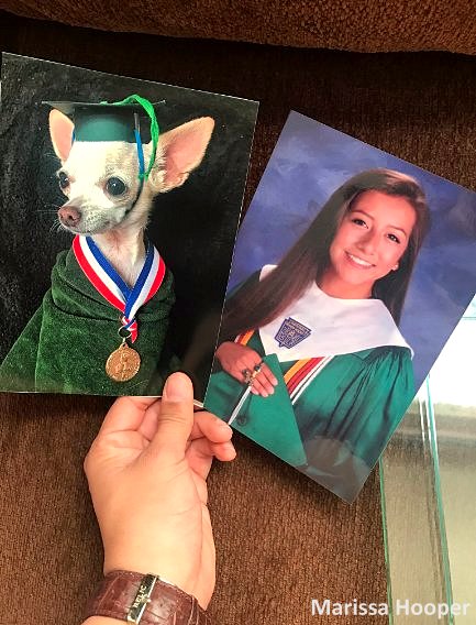 Daughter Swaps Out Family Photos for Ones of Their Dog and It Takes WEEKS for Her Mom to Notice