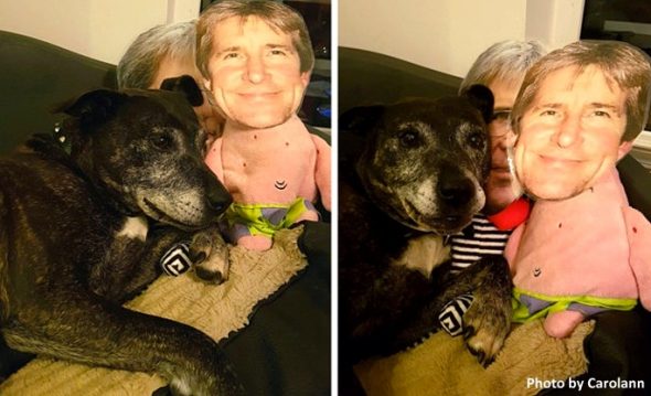 This Dog Who Misses Her Dad Absolutely ADORES the Toys Made With His Face on Them