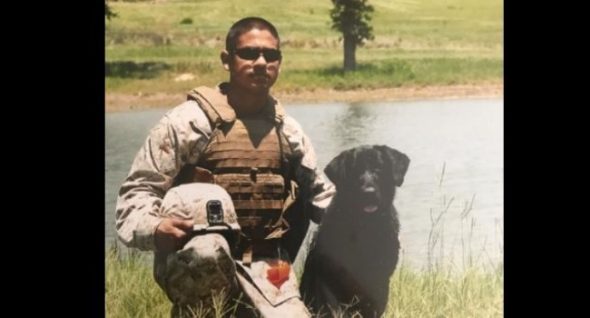 Reunion! Marine Vet Visits The Morale-Boosting Dog Who Kept Him Safe in Afghanistan