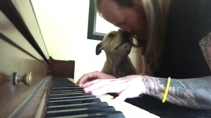 Pit bull’s favorite thing is to be serenaded by his dad