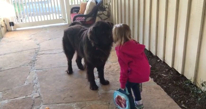 Mom has her little girl say goodbye to the dog every morning before school