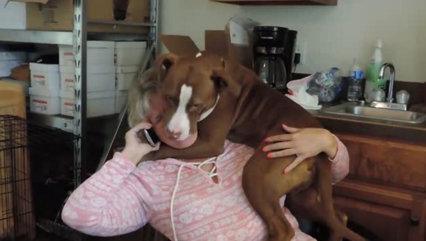 Newly rescued dog overjoyed to be off chain