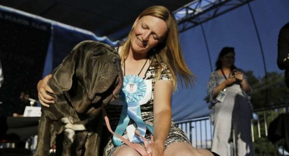 Ugly Puplings: “Gassy” Neopolitan Mastiff Named Martha Wins World’s Ugliest Dog