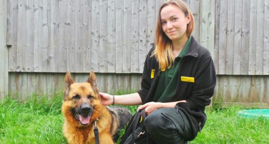 They Thought This Dog Was Untrainable–Until They Learned To Speak His Language