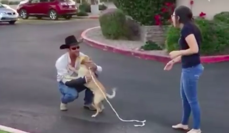 Dog Who Went Missing At A Campground Ecstatically Reunites With His Owner