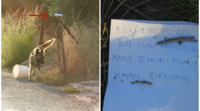 Abandoned dog tied to a fence found along with a very short note