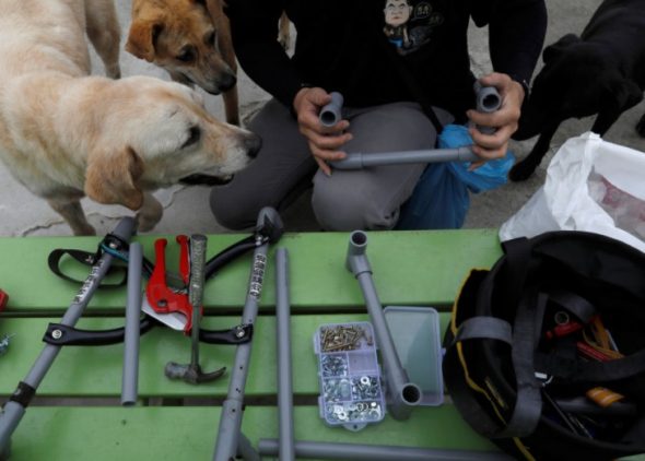 Man Makes Super Cool Doggy Wheelchairs for the Dogs in a Taiwanese Shelter