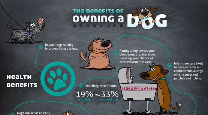 Dogs Are Awesome (INFOGRAPHIC)