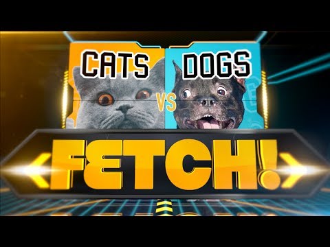 Talking dogs and cats discuss playing fetch, and it has me in stitches over here