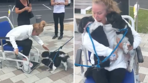 Cancer Patient Tearfully Reunites With Her Beloved Pups After Spending 2 Weeks In The Hospital