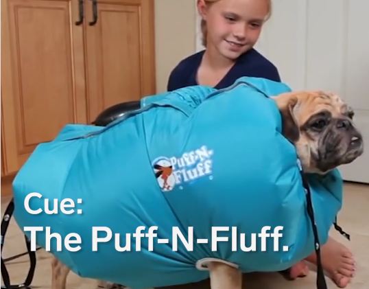 Would You Try This Crazy Contraption on Your Dog?