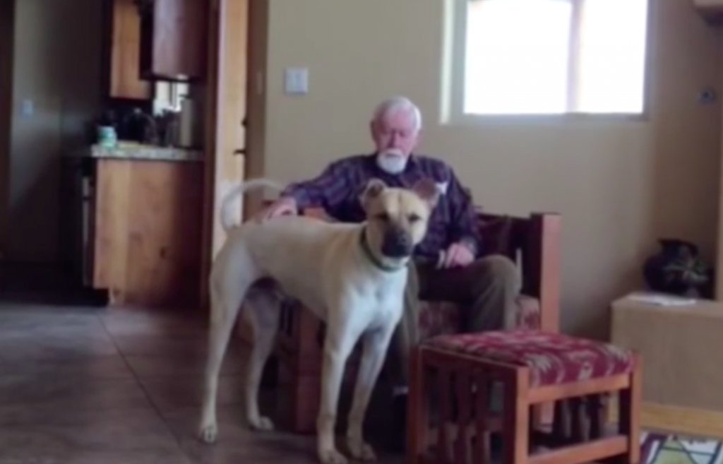 Man With Alzheimer’s Comes Alive When He Spends Time With His Daughter’s Dog