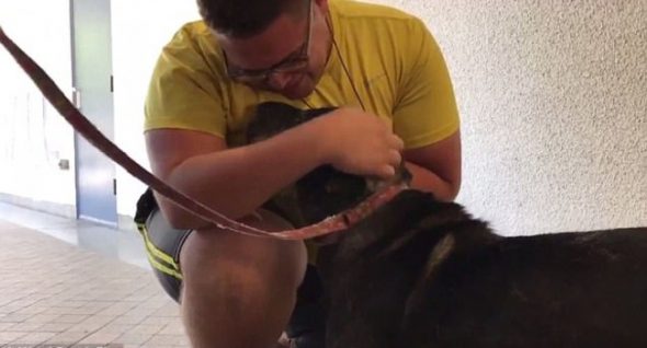 Amazing Rescue: Watch Miami Firefighter Save Drowning Dog
