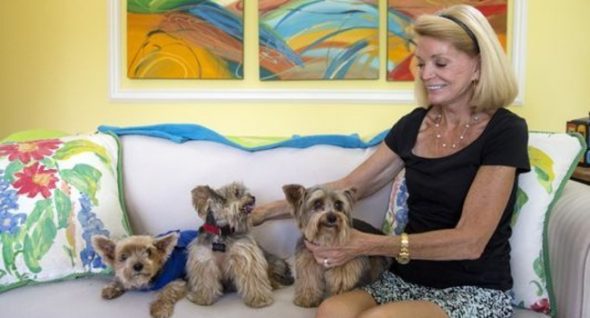 Stolen Yorkie Comes Home After 8 Years!