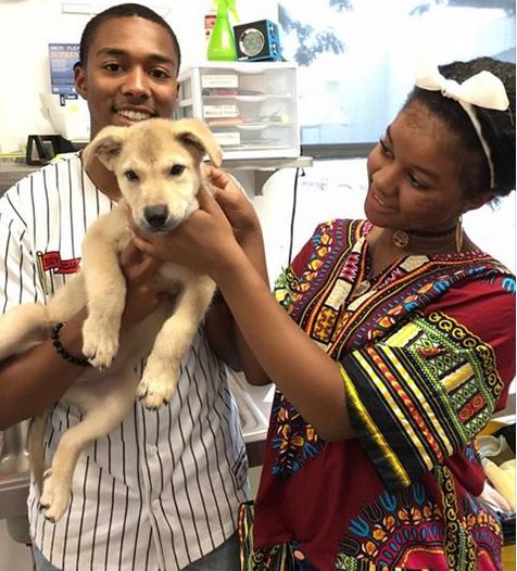 Puppy Rescued From Hot Car Gets Unexpected Happy Ending