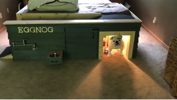 Eggnog the Bulldog Has the Coolest Custom Doghouse