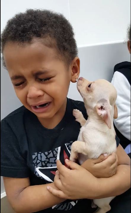 Adorable Toddler Can’t Stop Crying Because Puppy is ‘So Beautiful’