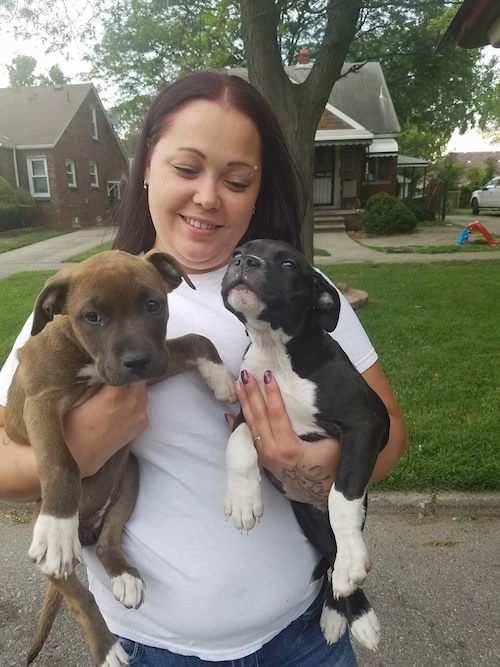 Rescue Buys Puppies For Sale On Facebook To Save Them From Dog Fighting