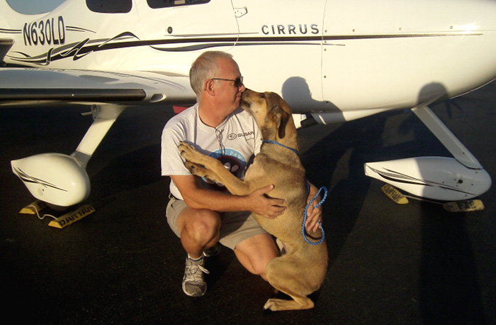 Kind-Hearted Pilots Volunteer Their Time To Fly Rescue Dogs From Kill Shelters To New Homes