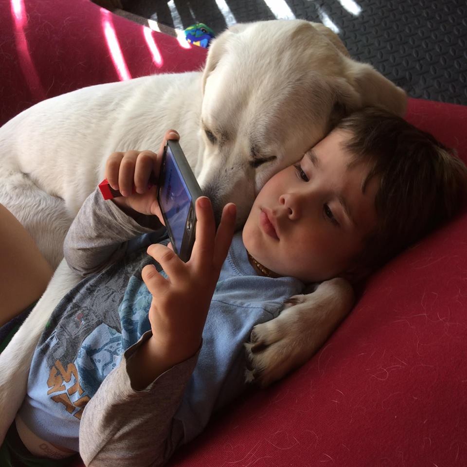 Little Boy With Autism Gets A Dog Who Changes His Life For The Better