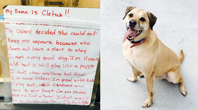 Dog Abandoned at Playground with Heartbreaking Note Finds New Home