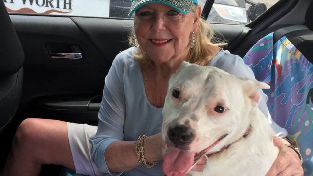 Elderly Woman Reunited With Her Beloved Pup After Her Car Was Stolen With Her Dog Inside