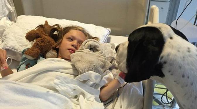 Dog gives his all for little girl, so family decides to return the favor