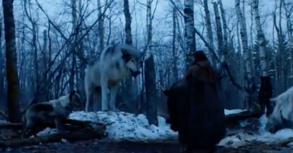 Game Of Thrones Star Peter Dinklage Has An Important Message For Potential Husky Parents