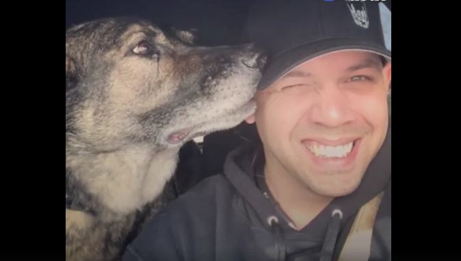 This dog just wants Puppuccinos in return for all of his hard work