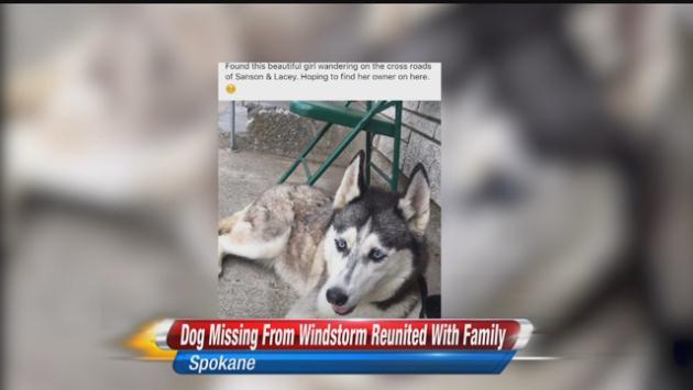 Dog Lost In Windstorm Two Years Ago Finally Comes Home