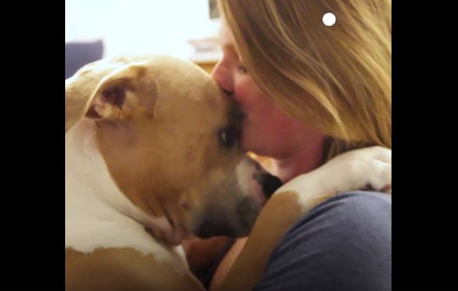 Dog found tied up at a playground can’t stop hugging people now