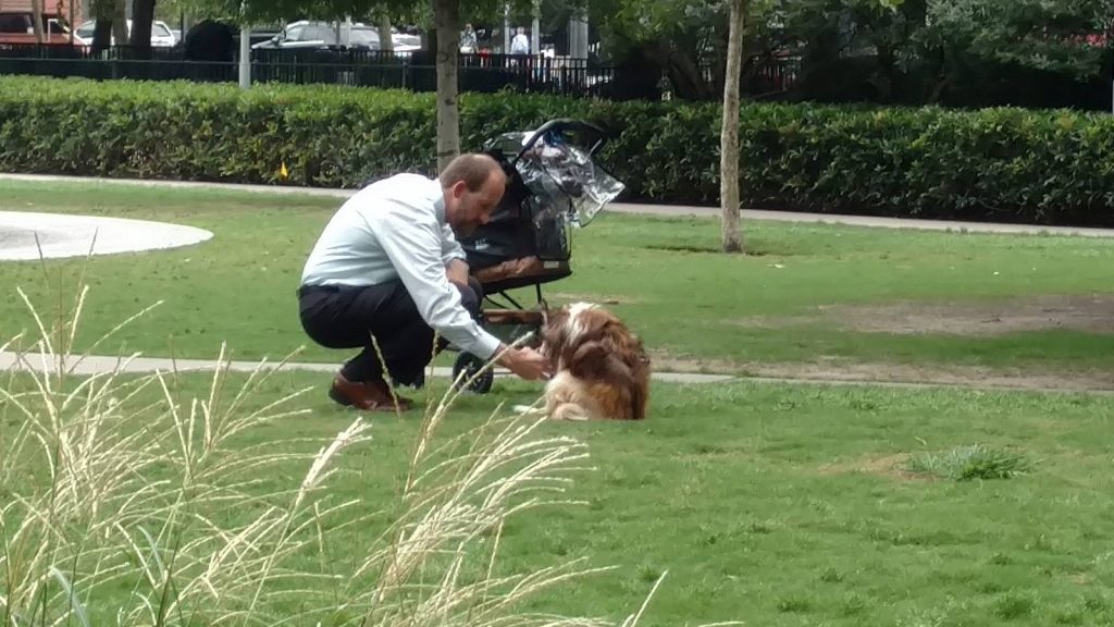 Man takes dog out of stroller and bends down thinking no one is watching