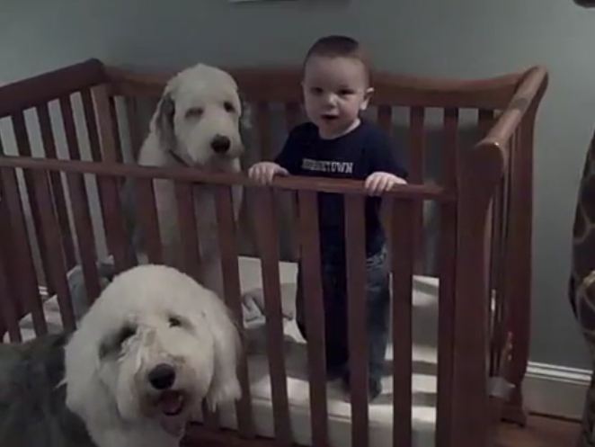 Dad walks in and asks the toddler about the dog in his crib