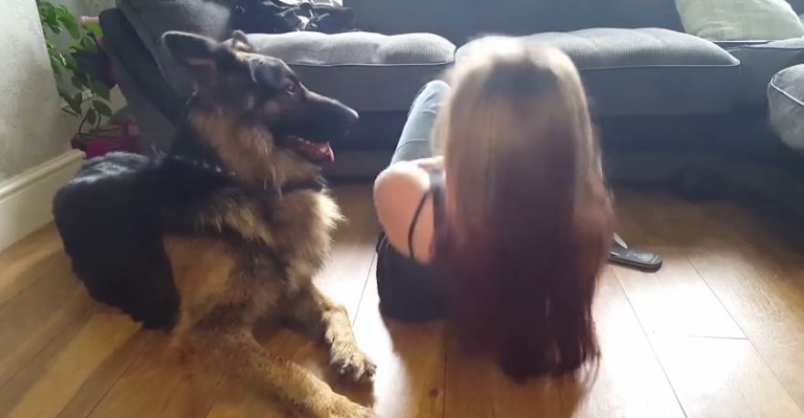 Mom’s exercising, and her needy dog just can’t help himself