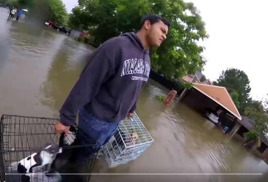 7 Heartfelt Photos Of People Banding Together To Save Animals During Hurricane Harvey