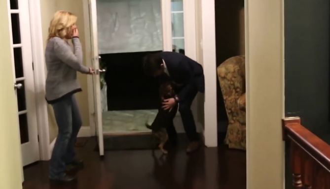 Dogs reunite with owners, and the dog’s crying has mom holding back the tears