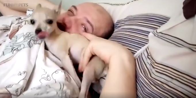 Enjoy A Compilation Of The Cutest Alarm Clocks Ever!