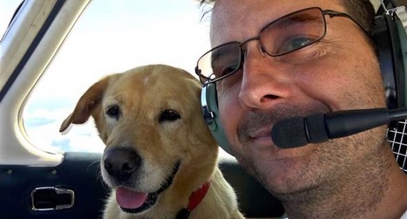 High-Flying Rescue: Veteran Buys Plane To Transport Shelter Dogs To New Homes