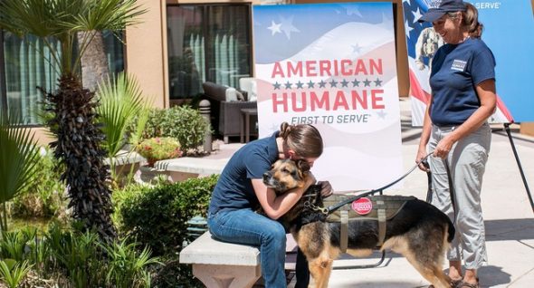 After Six Years Of Service, Military Dog Reunites With Handler – For Good