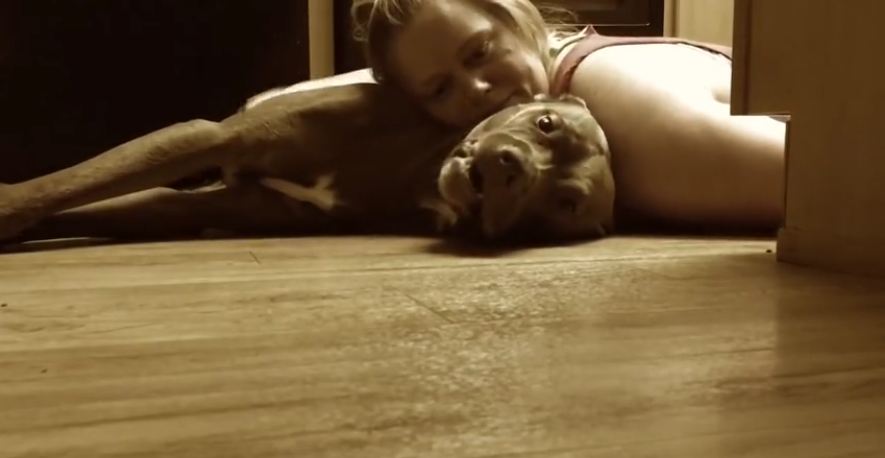 See how service dog helps his mom out during a seizure