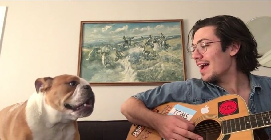 Winston the Bulldog sings during owner’s guitar session